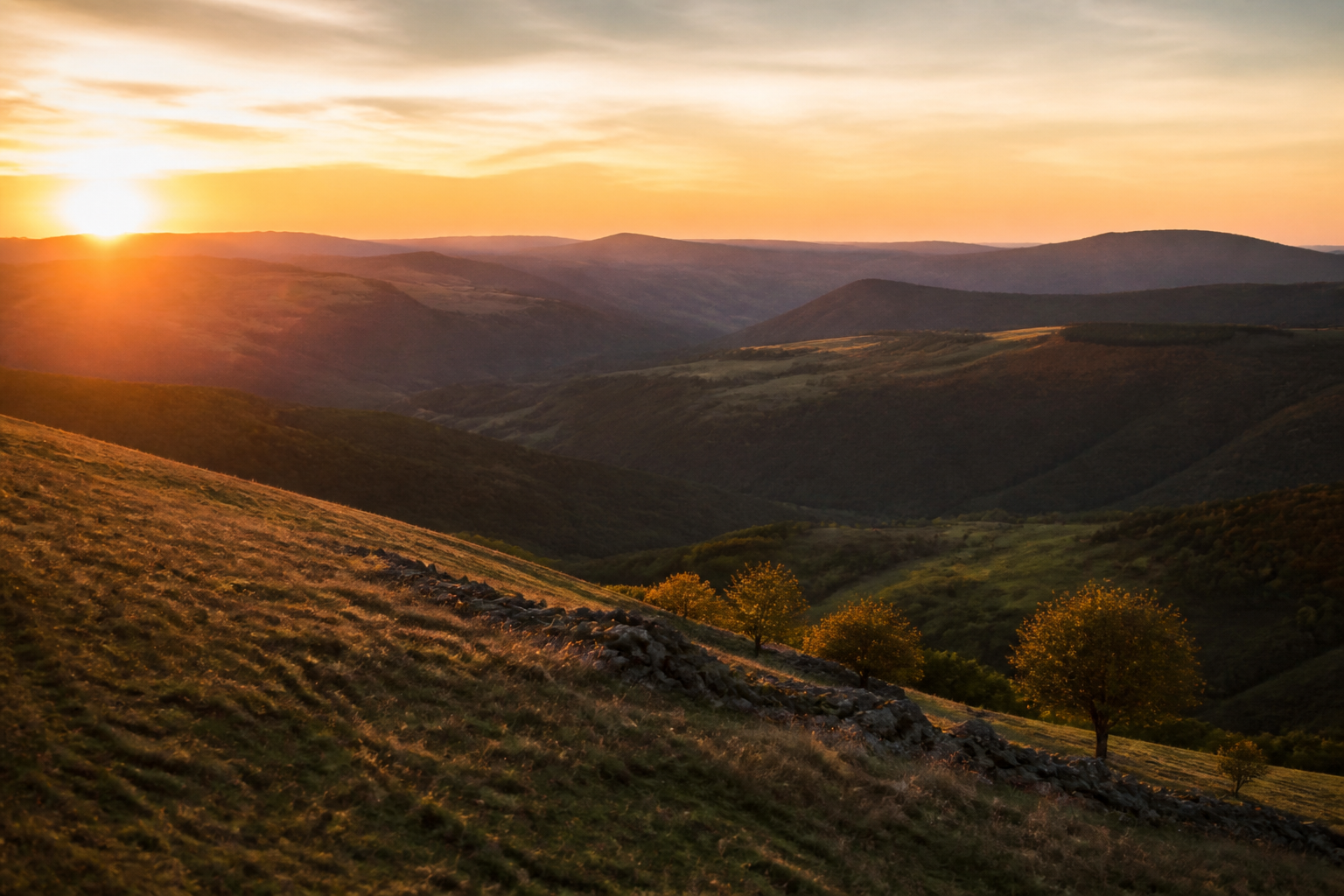 Paysage de collines au coucher du soleil, l'horizon placé sur le tiers inférieur du cadre et un arbre isolé sur une intersection de la grille